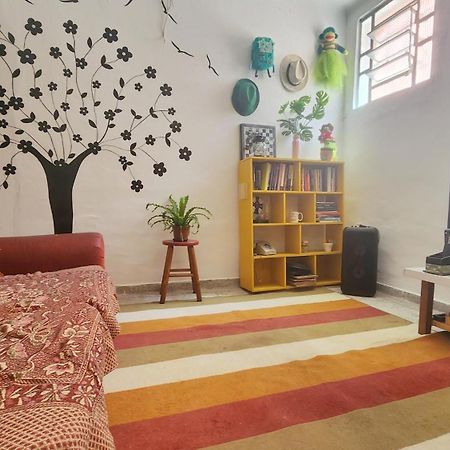 Red Monkey Hostel Barra Funda São Paulo Exteriér fotografie