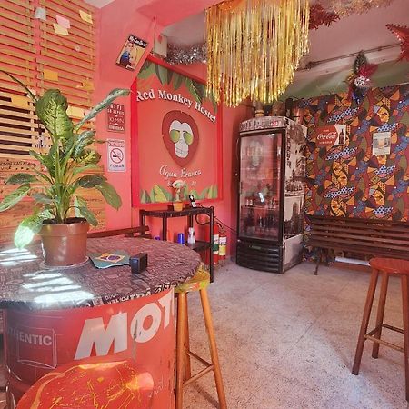 Red Monkey Hostel Barra Funda São Paulo Exteriér fotografie
